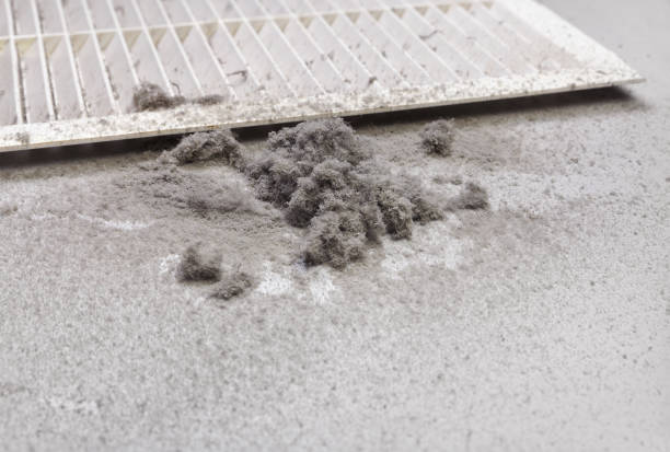 Best Local Air Duct Cleaning Services  in Cooper, TX