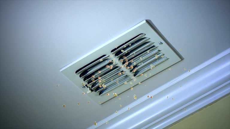 Best Duct Cleaning for Homes  in Cooper, TX