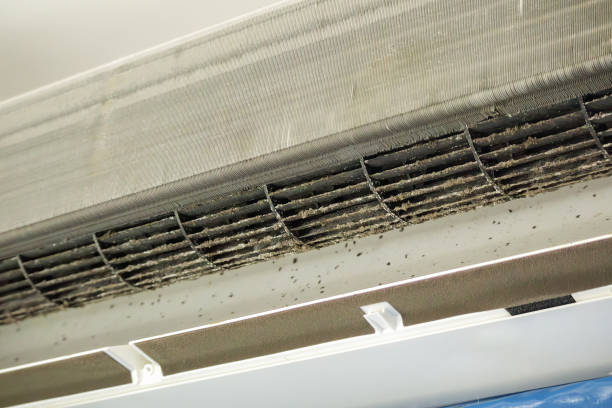 Best Affordable Duct Cleaning Services  in Cooper, TX